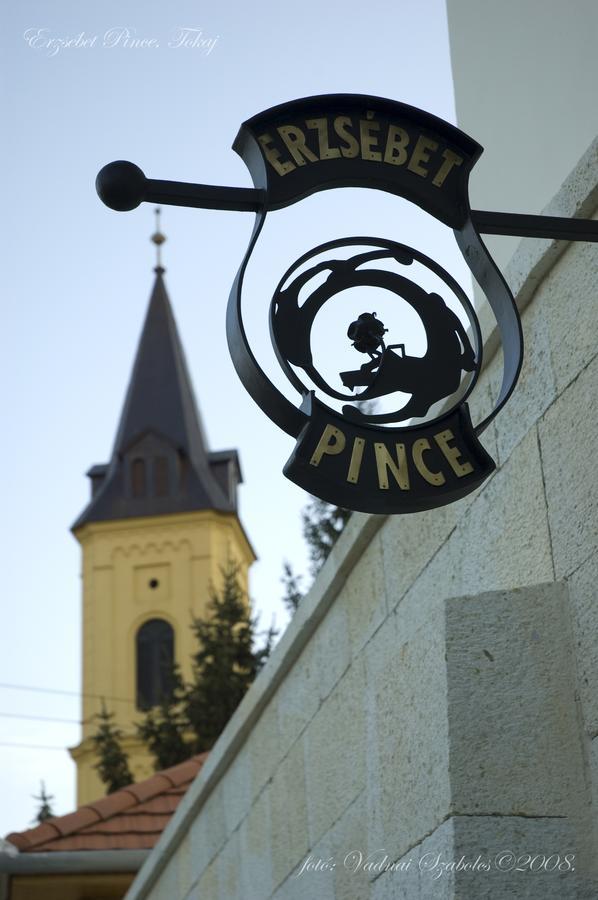 Erzsebet Pince Apartment Tokaj Ngoại thất bức ảnh